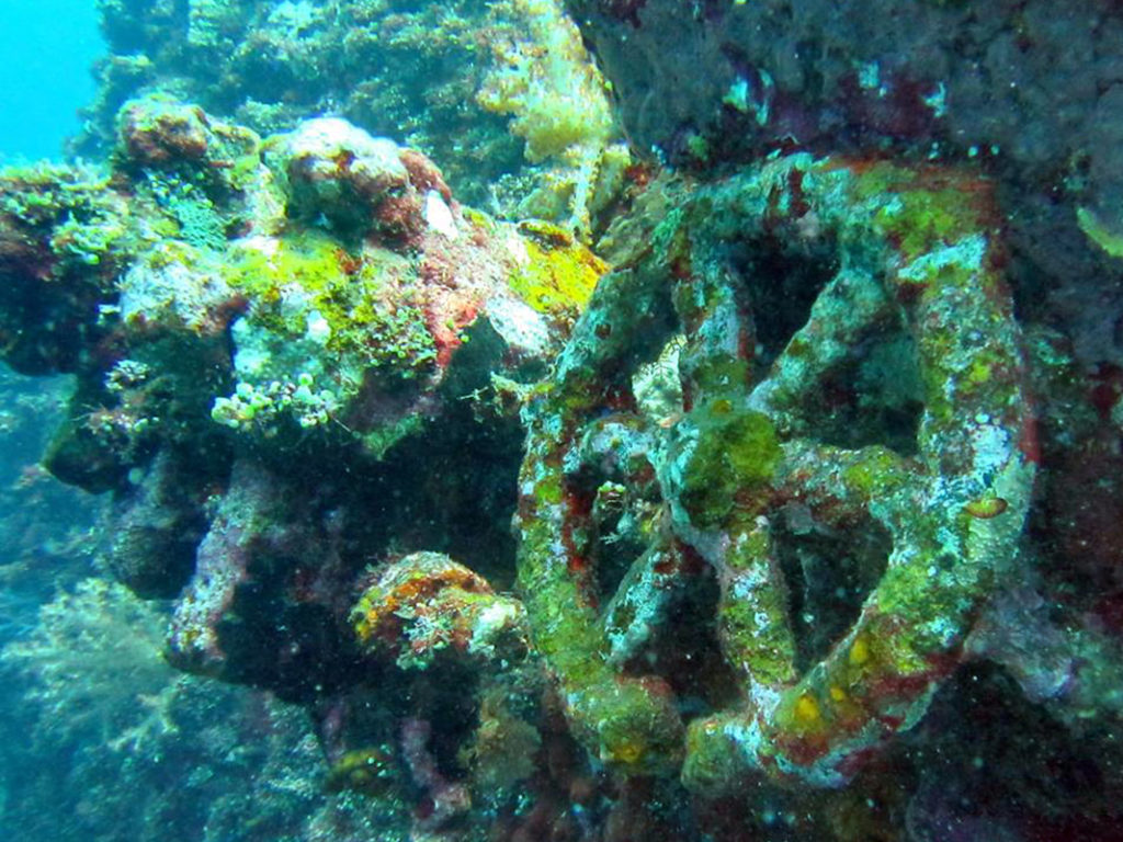 Dive site Liberty Wreck